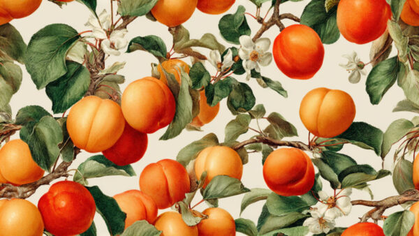 Photorealistic apricot pattern with branches, leaves, and blossoms on a light background – 16:9 free stock image