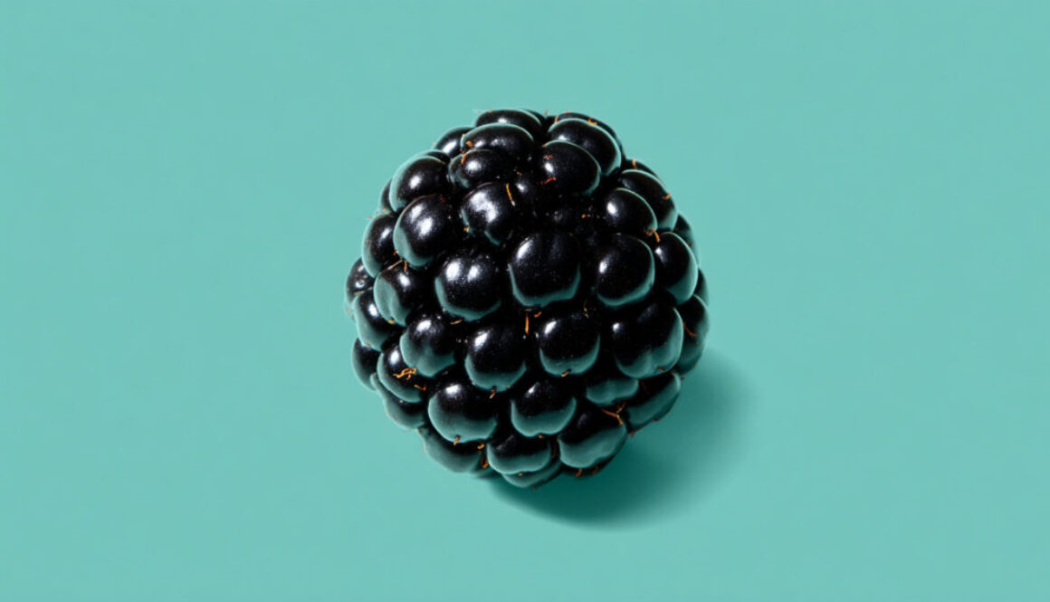 Minimalist photo of single blackberry centered on aqua background in 16:9 format