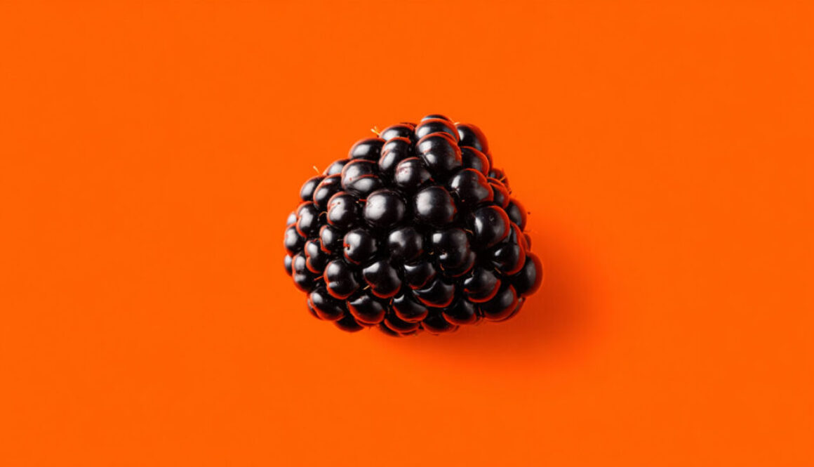 Close-up of ripe blackberry on bright orange background in 16:9 format