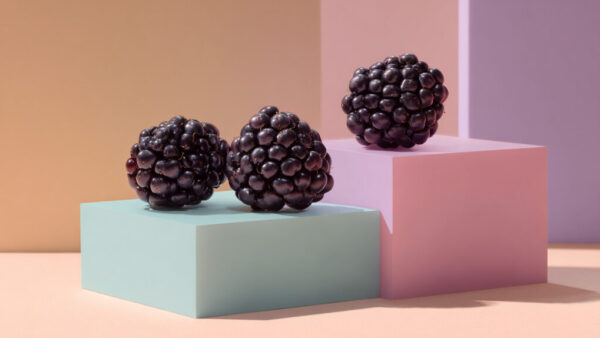 Three ripe blackberries on pastel-colored geometric blocks in 16:9 format
