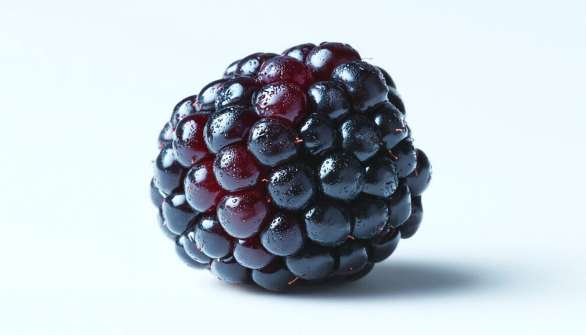 Close-up of fresh blackberry isolated on pure white background, minimal composition, 16:9 format