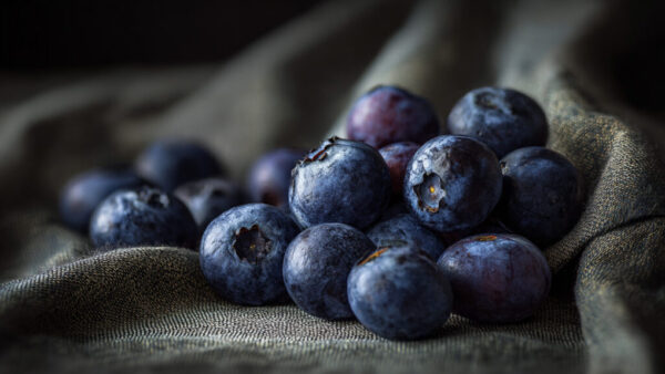 Rustic still life of ripe blueberries on textured dark fabric in 16:9 format