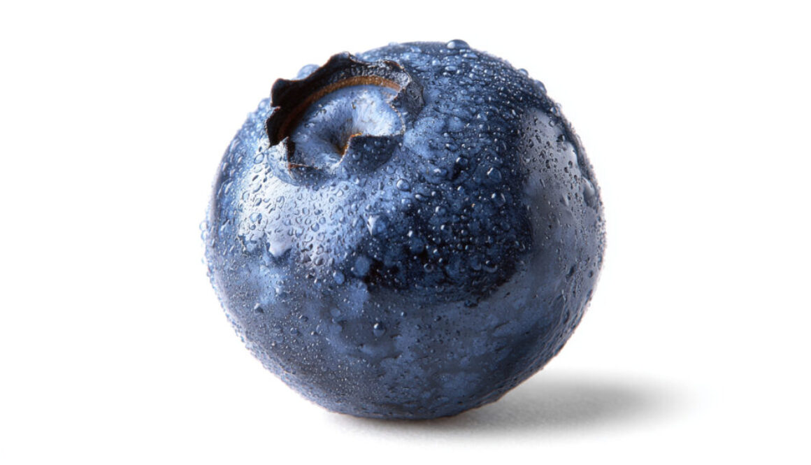 Fresh blueberry with water droplets on pure white background in 16:9 format