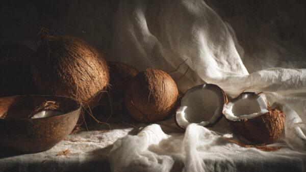 Still life with whole and halved coconuts placed on soft fabric with warm natural light