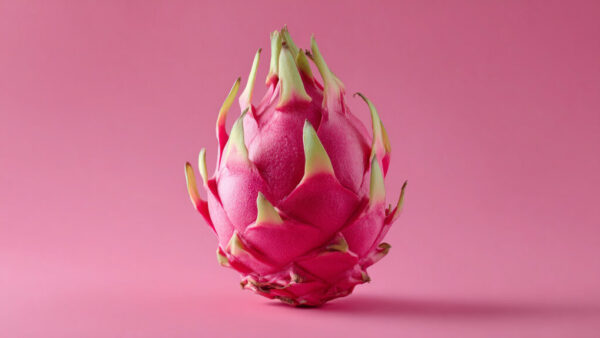 Front view of fresh dragon fruit centered on pink background in 16:9 format