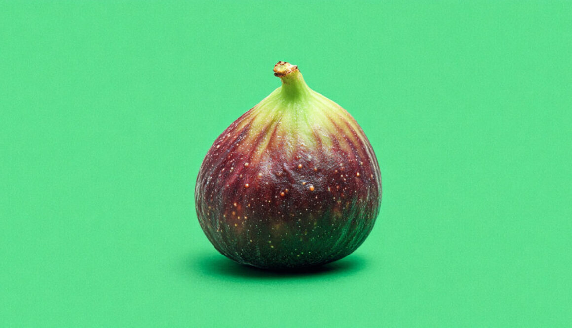Single ripe fig centered on solid green background in high-resolution format
