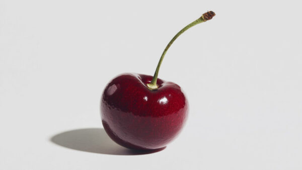 Minimal isolated cherry on a pure white background with sharp shadows, glossy red fruit photo in 16:9 format