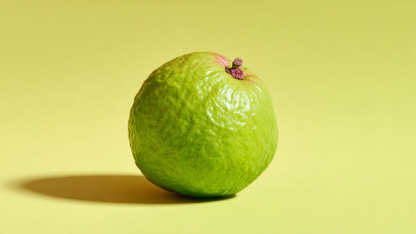 Single fresh green guava centered on yellow background in 16:9 format