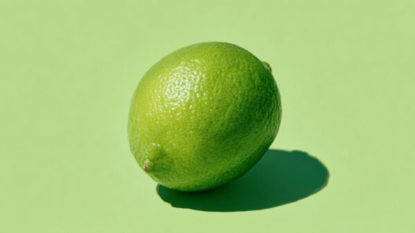 Single lime centered on solid light green background with shadow in 16:9 format