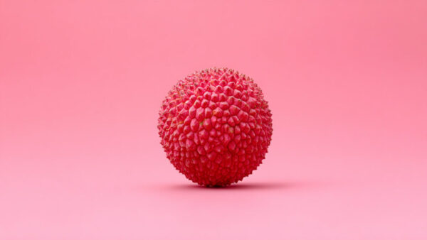 Front view of a single lychee fruit centered on a soft pink background in 16:9 format
