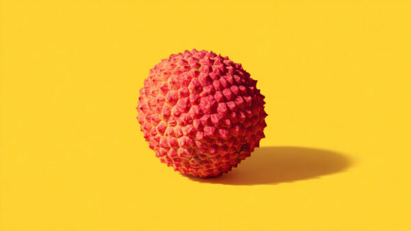 Close-up of a single lychee fruit on bright yellow background with soft shadow in 16:9 format